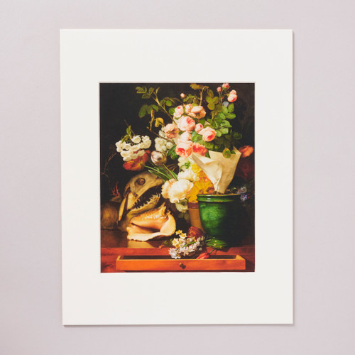 Berjon SL with Flowers, Shells, a Shark's Head and Petrifications 11" x 14" Archival Matted Poster