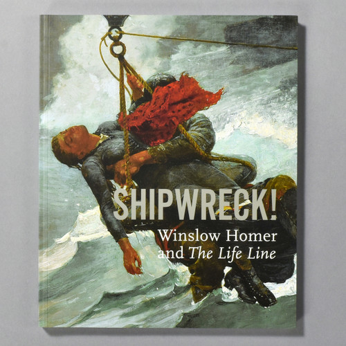Front cover of "Shipwreck! Winslow Homer And 'The Life Line'."