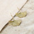 Bronze gold-toned Gingko Dangle Earrings shown laying flat