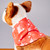 Cotton tunnel bandana in red with a white line drawing rendering of the Rodin Thinker in an all-over pattern. Bandana shown on plush dog form, back view, bandana flat on dog's neck.