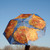 Van Gogh sunflower umbrella shown open with blue sky background