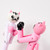Cat Fight Action Pens