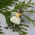Image features the entire Degas Little Dancer ballerina ornament lying on a branch from a distance.