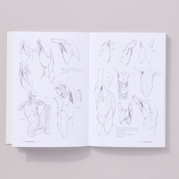 Morpho: Simplified Forms