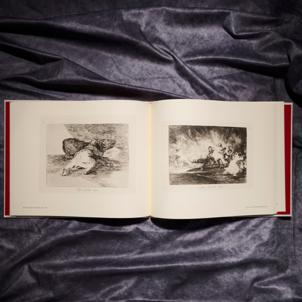 Goya: The Disasters of War