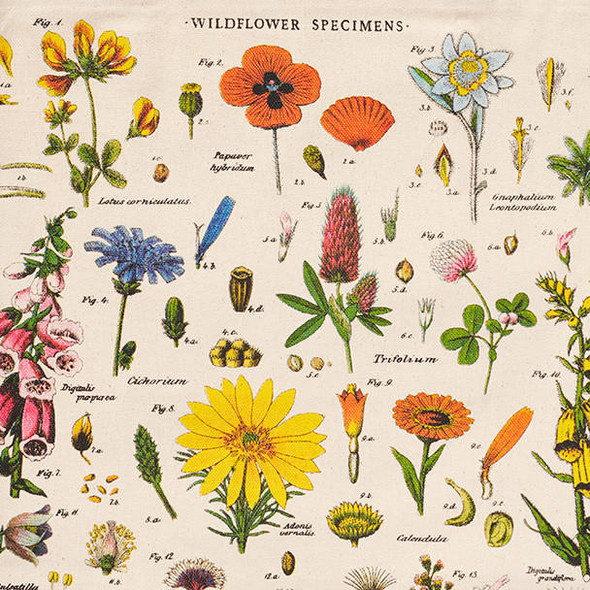  Wildflower Specimens Tote Bag 