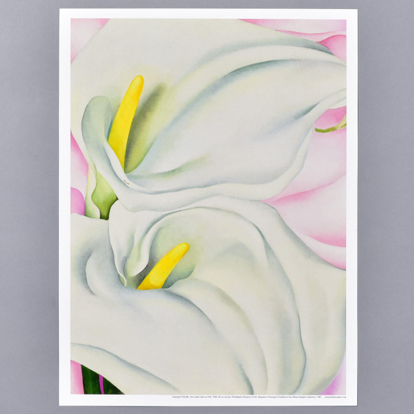 Philadelphia Museum of Art O'Keeffe Two Calla Lilies on Pink Mini Poster 