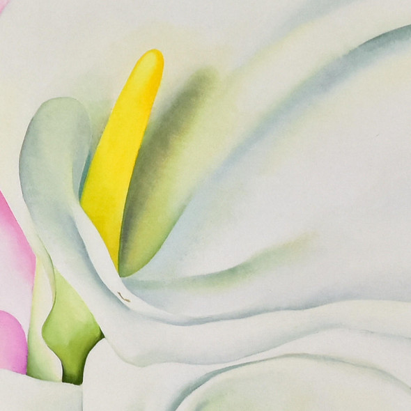 Philadelphia Museum of Art O'Keeffe Two Calla Lilies on Pink Mini Poster 