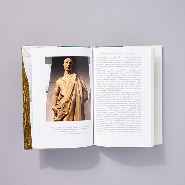 Seeing Through Closed Eyelids Giuseppe Penone and the Nature of Sculpture