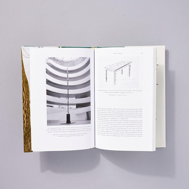 Seeing Through Closed Eyelids Giuseppe Penone and the Nature of Sculpture