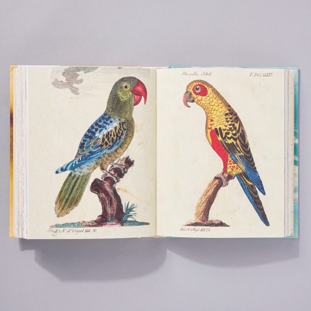 John Derian Sticker Book