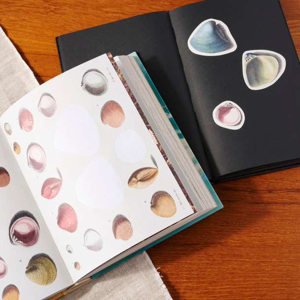 John Derian Sticker Book