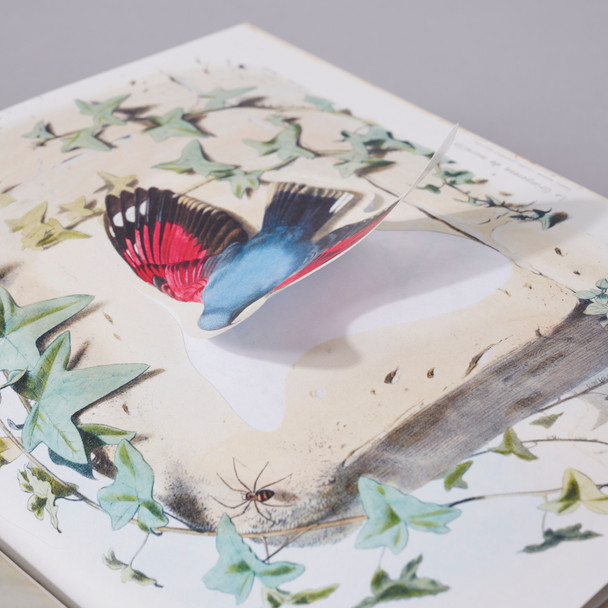 John Derian Sticker Book