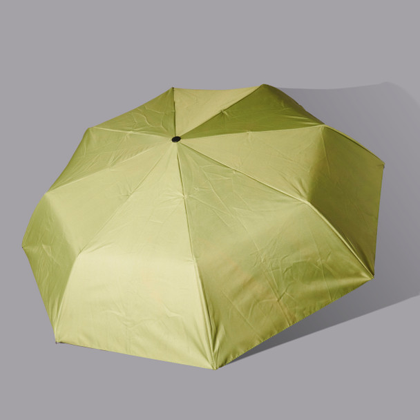 Cassatt At the Theater Umbrella