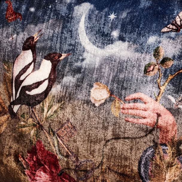 Eden Velvet Clutch by Muzaluci