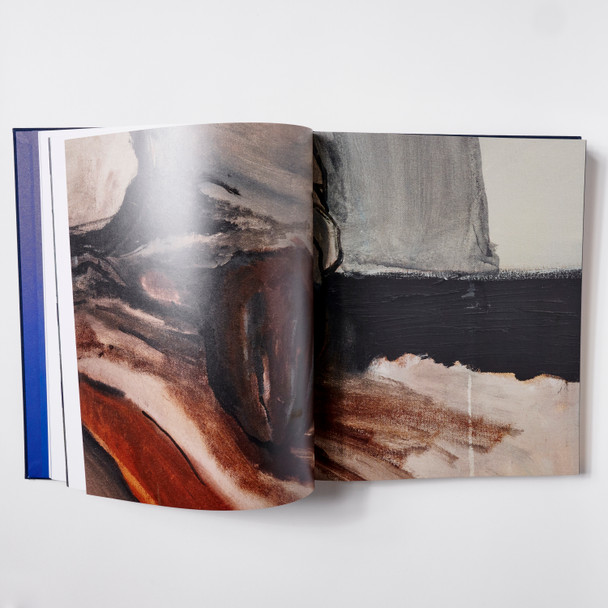 Noah Davis: In Detail