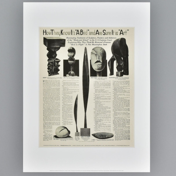 Philadelphia Museum of Art How They Know Its A Bird and Are Sure It is Art Brancusi Exhibition Archival Poster