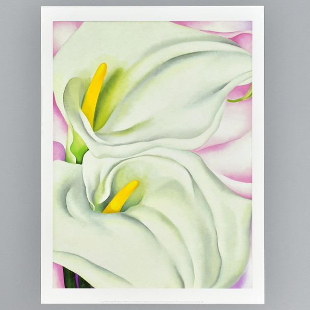 Philadelphia Museum of Art OKeeffe Two Calla Lilies on Pink Archival Poster