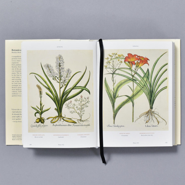  Florilegium: The Book of Plants 