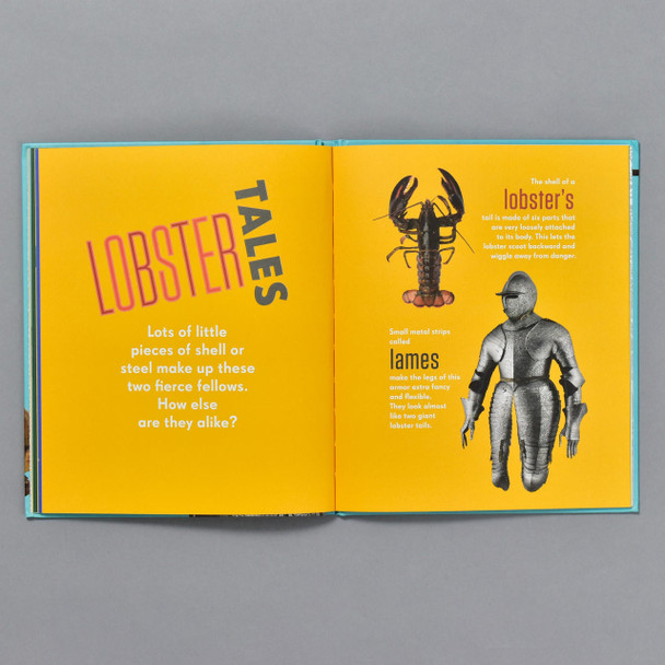 Philadelphia Museum of Art Armor & Animals 