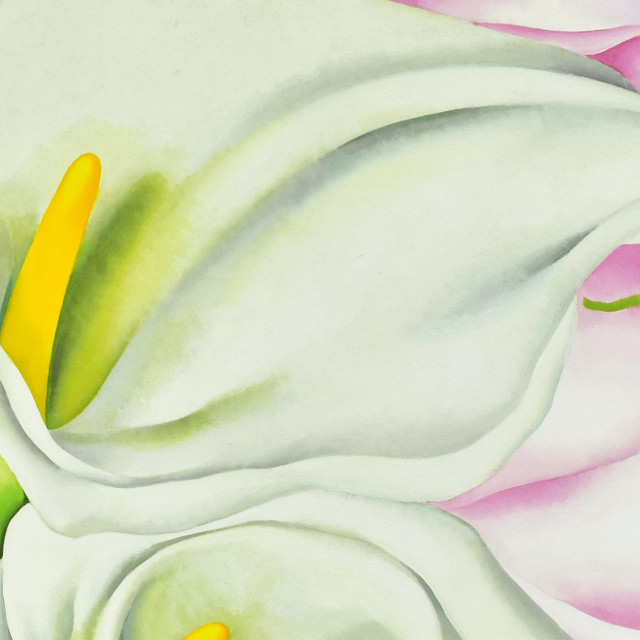 O'Keeffe Two Calla Lilies on Pink Mini Poster - Philadelphia Museum Of Art