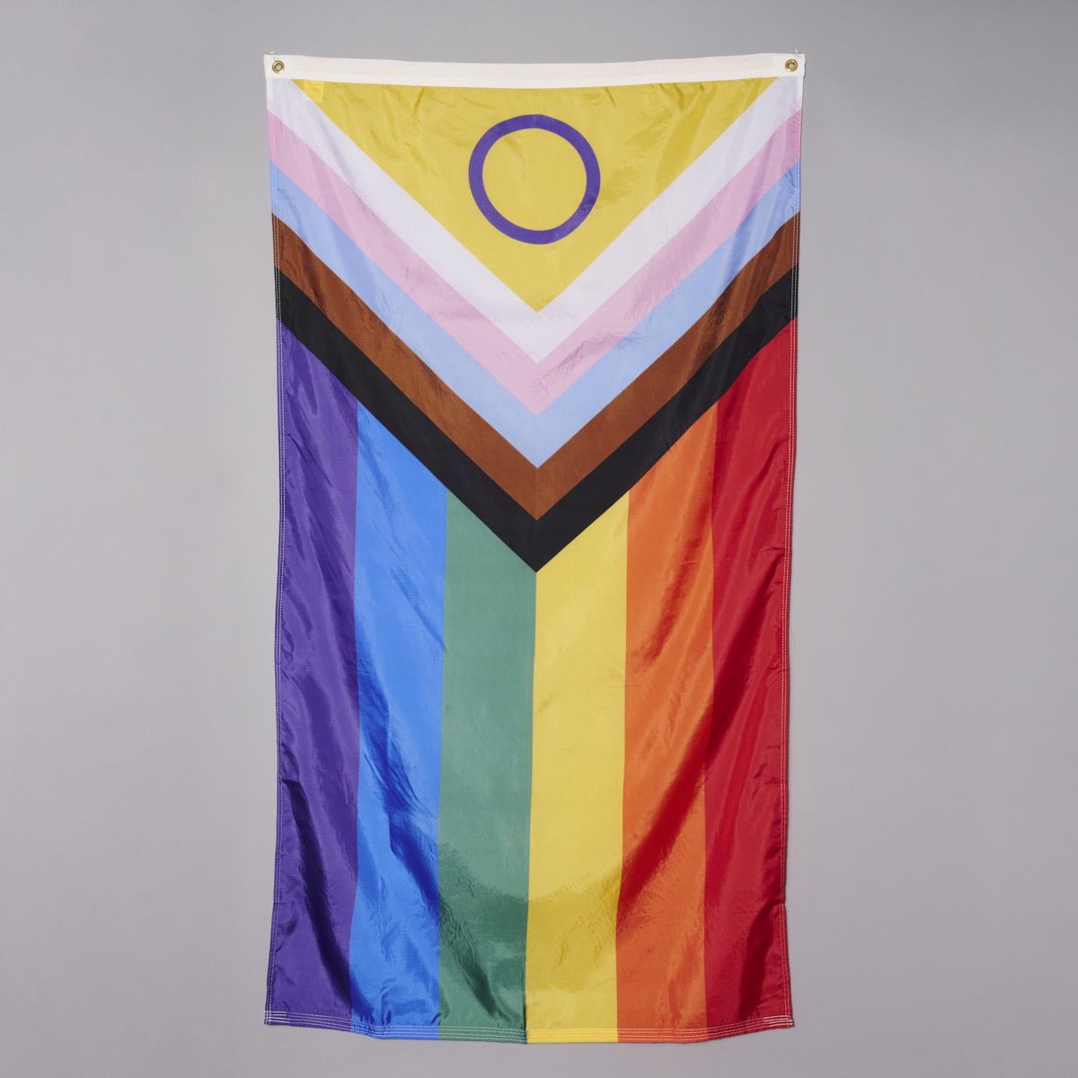 Limited Edition 3'x5' Digitally Printed Intersex Progress Pride