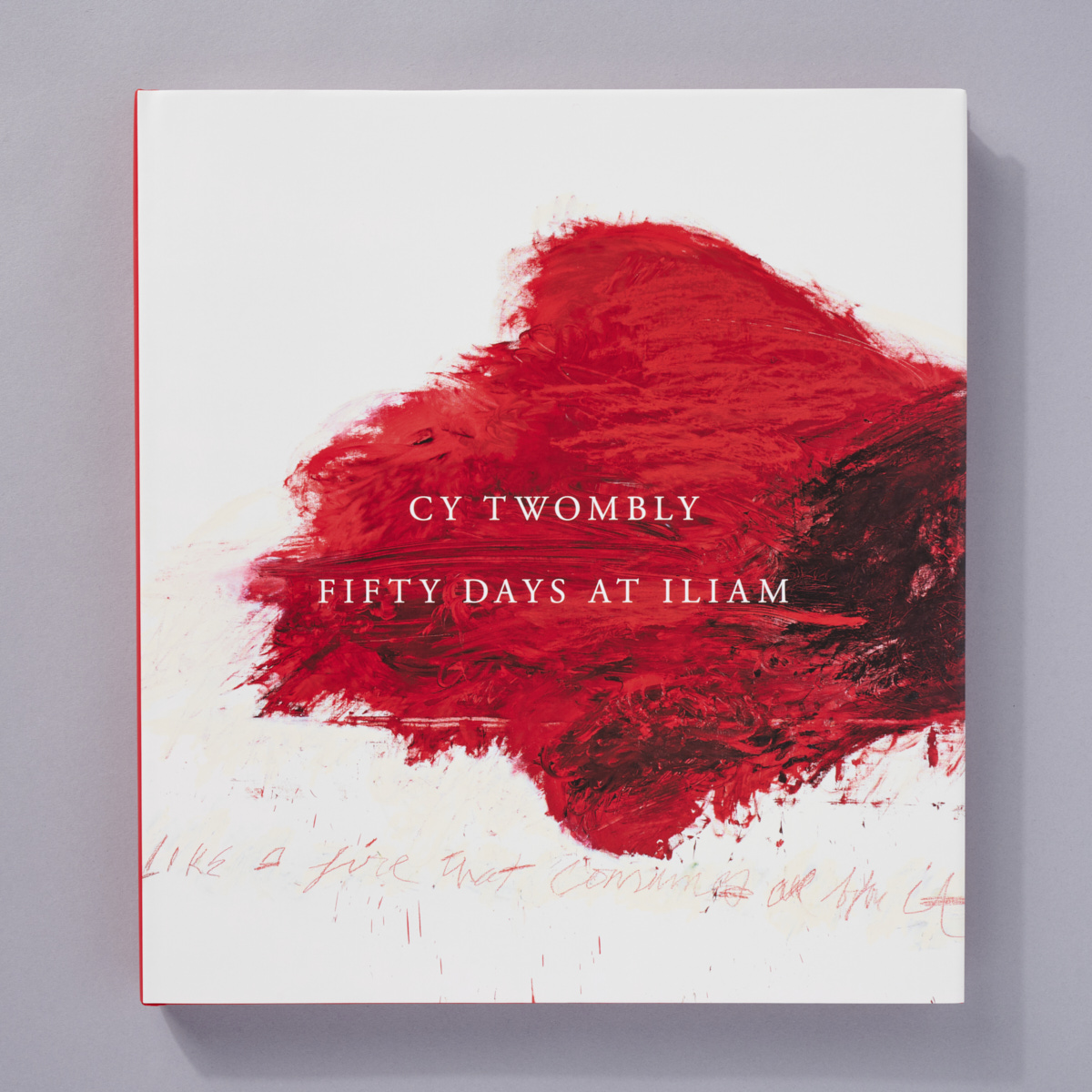 アート・デザイン・音楽 Cy Twombly Fifty Days at Iliam Cy Twombly: Fifty Days At Iliam - Philadelphia Museum Of Art
