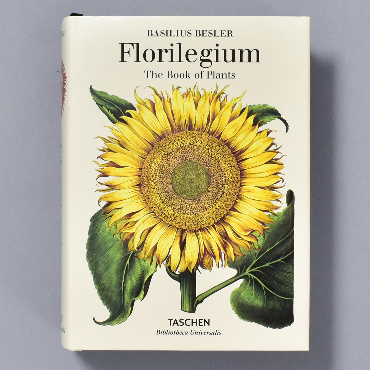 美しい1613年の植物画集'Besler Florilegium'
