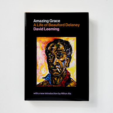 Amazing Grace: A Life of Beauford Delaney: A Life of Beauford Delaney