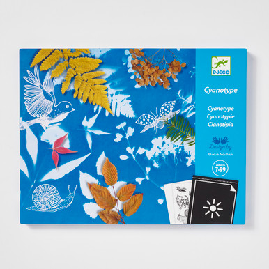 Cyanotype Starter Craft Kit