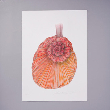 Capucci Cinabro 2011 Fashion Illustration Print