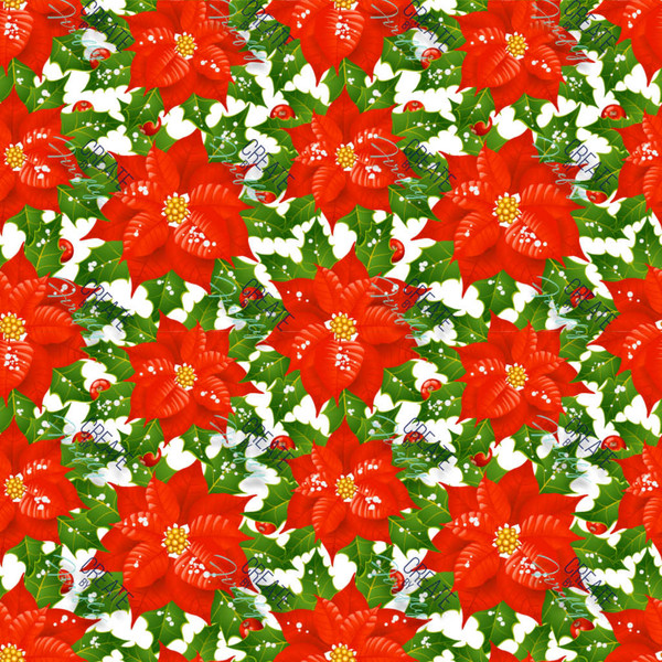 Poinsettia Print