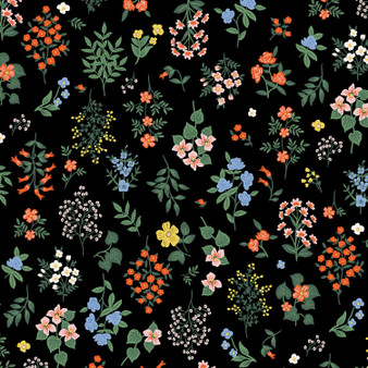 RIFLE PAPER CO, Strawberry Fields HAWTHORNE in Black,  ELEGANTE VIRGULE, CANADIAN FABRIC SHOP