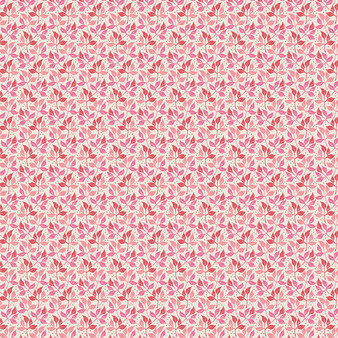 AGF HAVEN, Gloria Blossoms - Elegante Virgule Canada