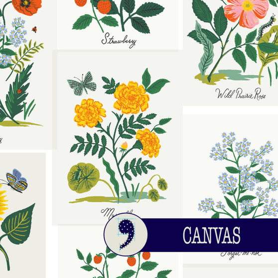 RIFLE PAPER CO, CURIO, Botanical Prints in Pink Multi CANVAS (Cotton/Linen) - ELEGANTE VIRGULE CANADA, Canadian Fabric Quilt Shop