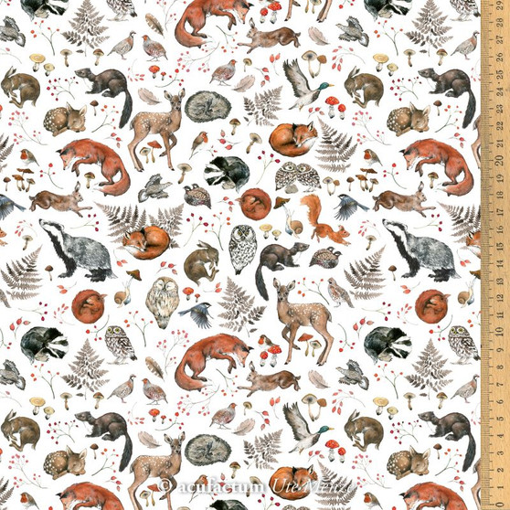 ACUFACTUM Automne/Hiver, Animaux sauvages - ELEGANTE VIRGULE CANADA, Tissus Acufactum