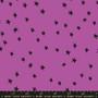 RUBY STAR SOCIETY, STARRY 2025 by Alexia Marcelle Abegg, in Witchy - ELEGANTE VIRGULE CANADA
