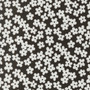 MODA Alli K Design, TRUE TO HUE, Charm Pack 42 pcs 5" x 5" (12,5 x 12,5 cm) (ENTIRE COLLECTION) - Elegante Virgule Canada