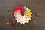 ART GALLERY FABRICS - AGF ADVENTALE by Katarina Roccella - ELEGANTE VIRGULE CANADA