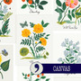 RIFLE PAPER CO, CURIO, Botanical Prints in Pink Multi CANVAS (Cotton/Linen) - ELEGANTE VIRGULE CANADA, Canadian Fabric Quilt Shop