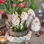 ACUFACTUM Fabrics, Spring / Summer, Tulip Time, Red Green on Peach - ELEGANTE VIRGULE CANADA