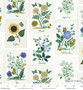 RIFLE PAPER CO, CURIO, Botanical Prints in Blue Multi - ELEGANTE VIRGULE CANADA, Canadian Fabric Quilt Shop, Quilting Cotton