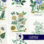 RIFLE PAPER CO, CURIO, Botanical Prints in Blue Multi CANVAS (Cotton/Linen) - ELEGANTE VIRGULE CANADA, Canadian Fabric Quilt Shop