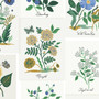 RIFLE PAPER CO, CURIO, Botanical Prints in Blue Multi CANVAS (Cotton/Linen) - ELEGANTE VIRGULE CANADA, Canadian Fabric Quilt Shop