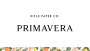 RIFLE PAPER CO, PRIMAVERA Citrus Floral in Cream,  ELEGANTE VIRGULE CANADA, CANADIAN FABRIC SHOP, QUILTING COTTON