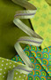SASSAFRAS LANE DESIGNS, Lime Green Stripe Zipper Tape with Nickel teeth - Sold by the yard (91 cm) - ELEGANTE VIRGULE CANADA