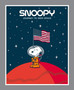 SPRINGS CREATIVE, Peanuts Snoopy Journey to Deep Space - PANEL 36" x 44" (91 x 112 cm) - ELEGANTE VIRGULE CANADA