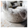 ACUFACTUM Autumn / Winter, Winter Grasses - ELEGANTE VIRGULE CANADA, Acufactum Fabrics