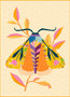 The Moth Quilt in WINDHAM FABRICS, TAMARA KATE Insectarium - ELEGANTE VIRGULE CANADA