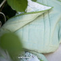 ACUFACTUM Basics, Pois gris-vert et blancs - ELEGANTE VIRGULE CANADA, Tissus Acufactum